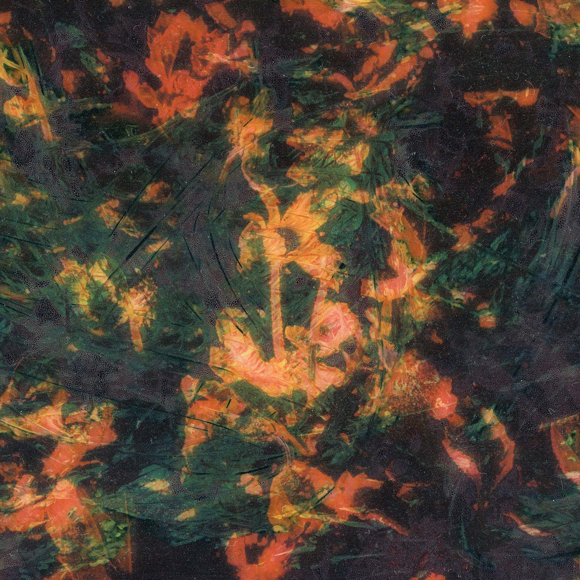 New Perspectives thumbnail thumbnail
